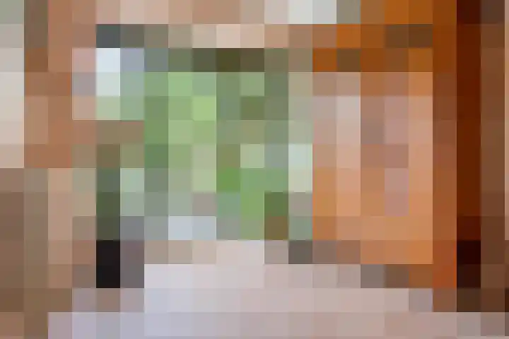 Bredeweg 4 Holthees thumbnail 6