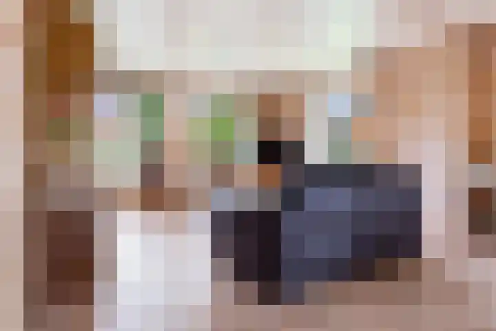 Bredeweg 4 Holthees thumbnail 9