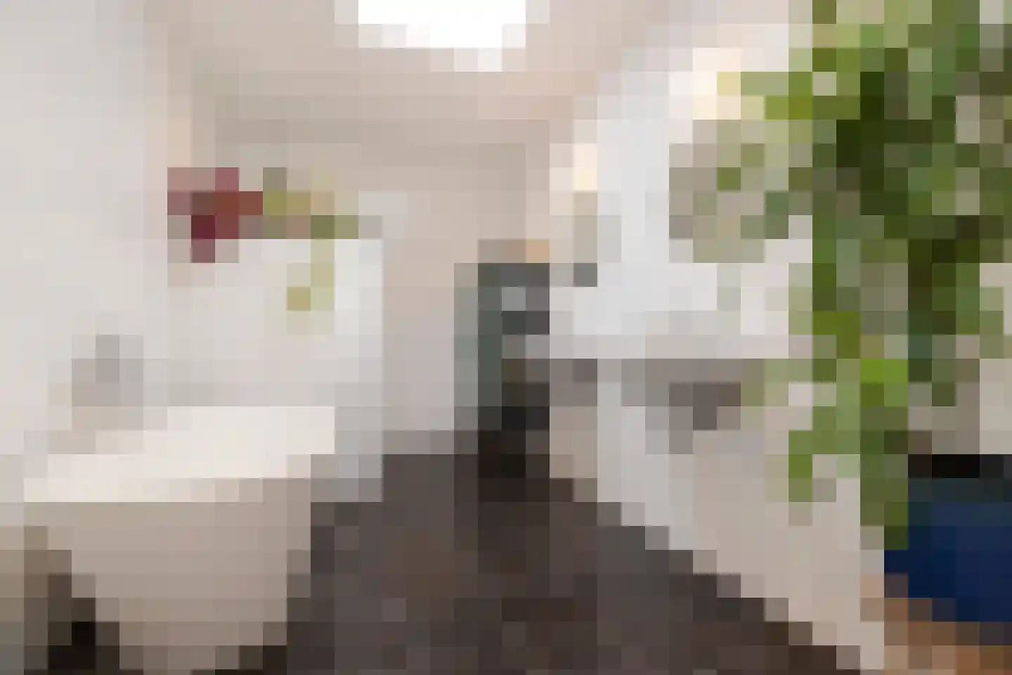 Bredeweg 40 2 Amsterdam thumbnail 18