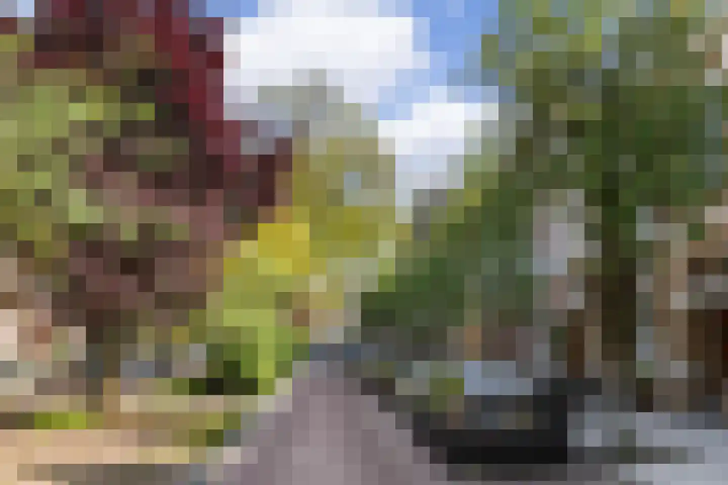 Bredeweg 40 2 Amsterdam thumbnail 33