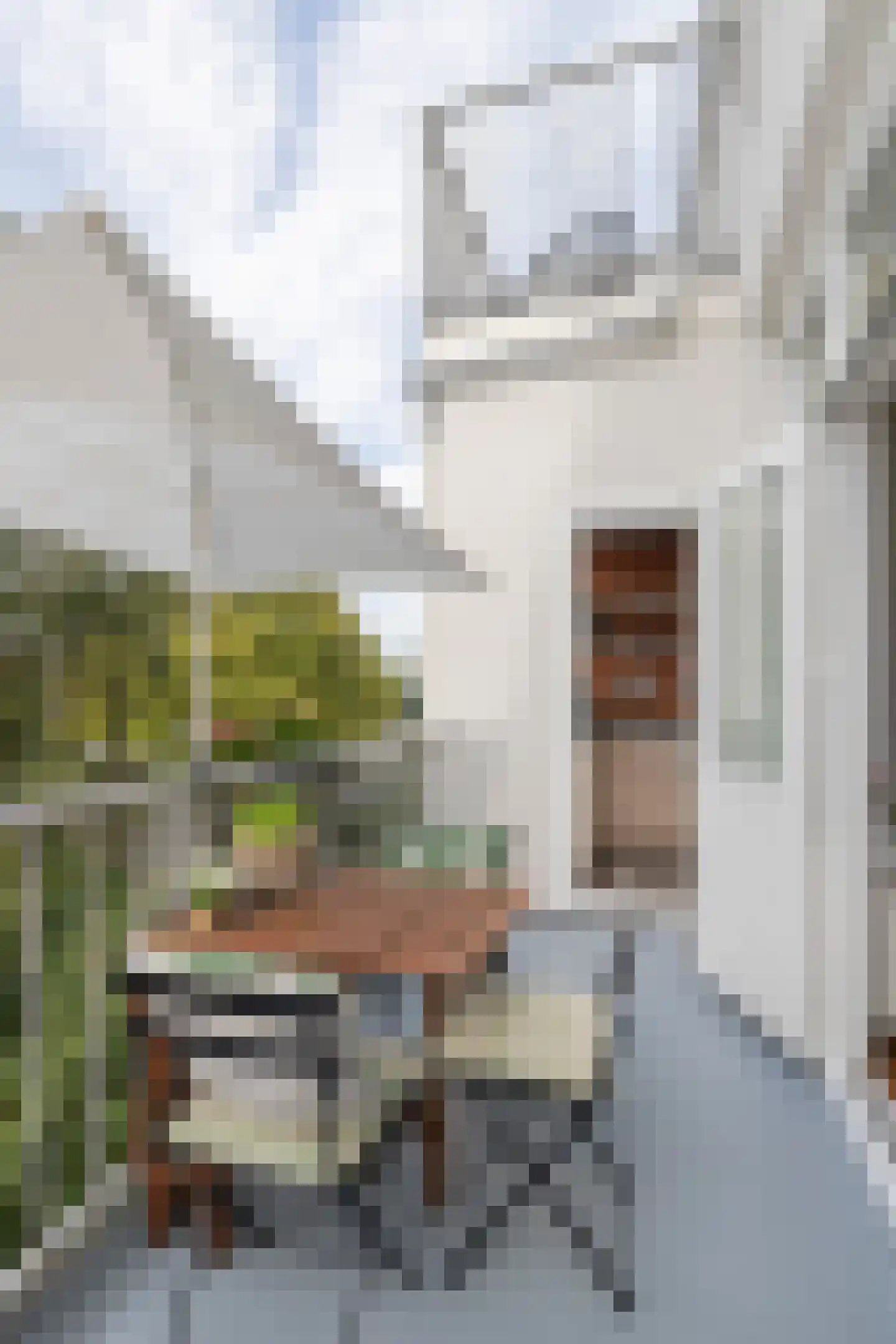 Bredeweg 40 2 Amsterdam thumbnail 6