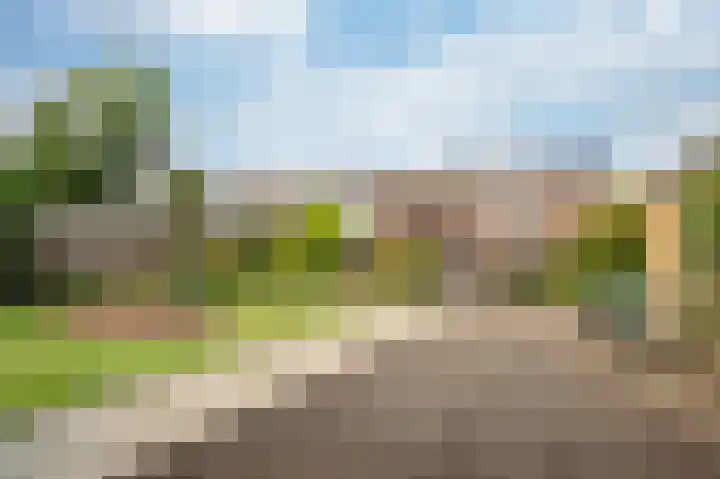 Bredeweg 402 Roermond thumbnail 20