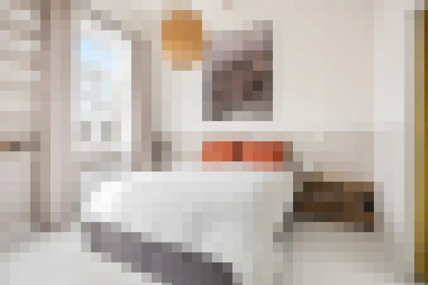 Bredeweg 41 1 Amsterdam thumbnail 24