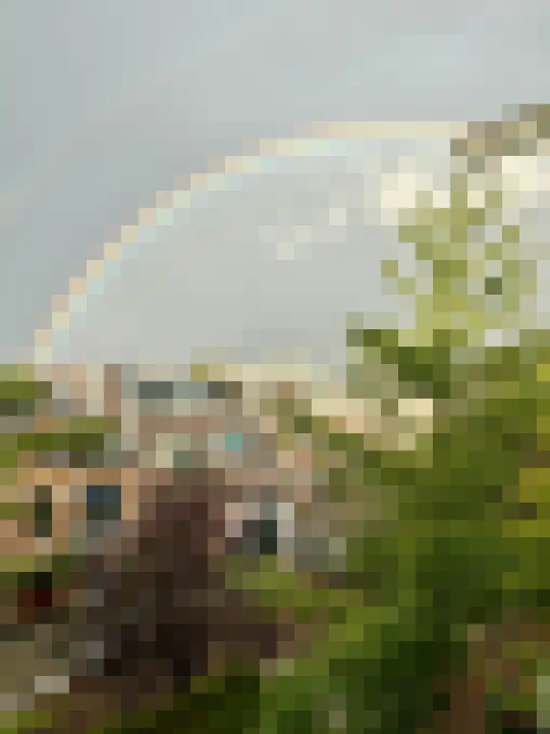 Bredeweg 41 2 Amsterdam thumbnail 59
