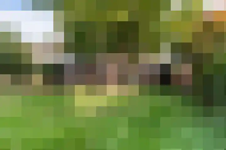 Bredeweg 43 Ottersum thumbnail 4