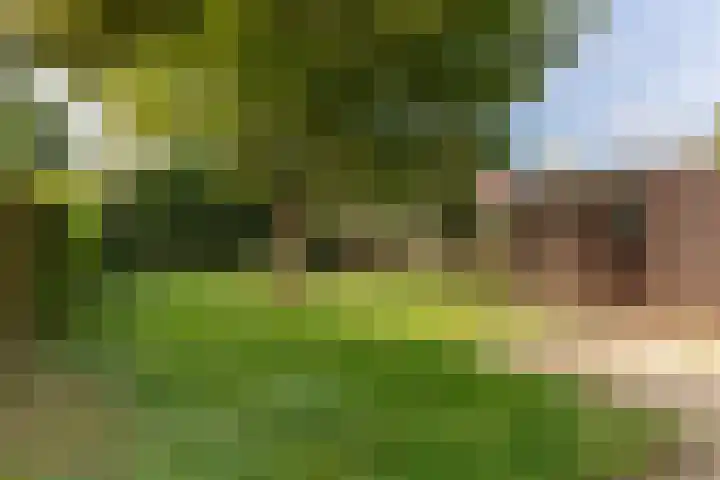 Bredeweg 43 Ottersum thumbnail 5