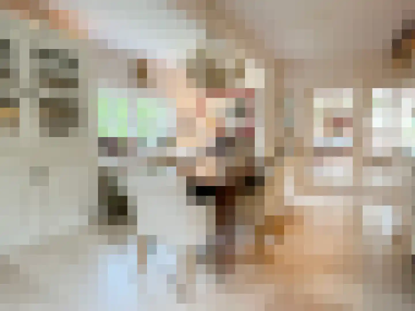 Bredeweg 47 Geffen thumbnail 15