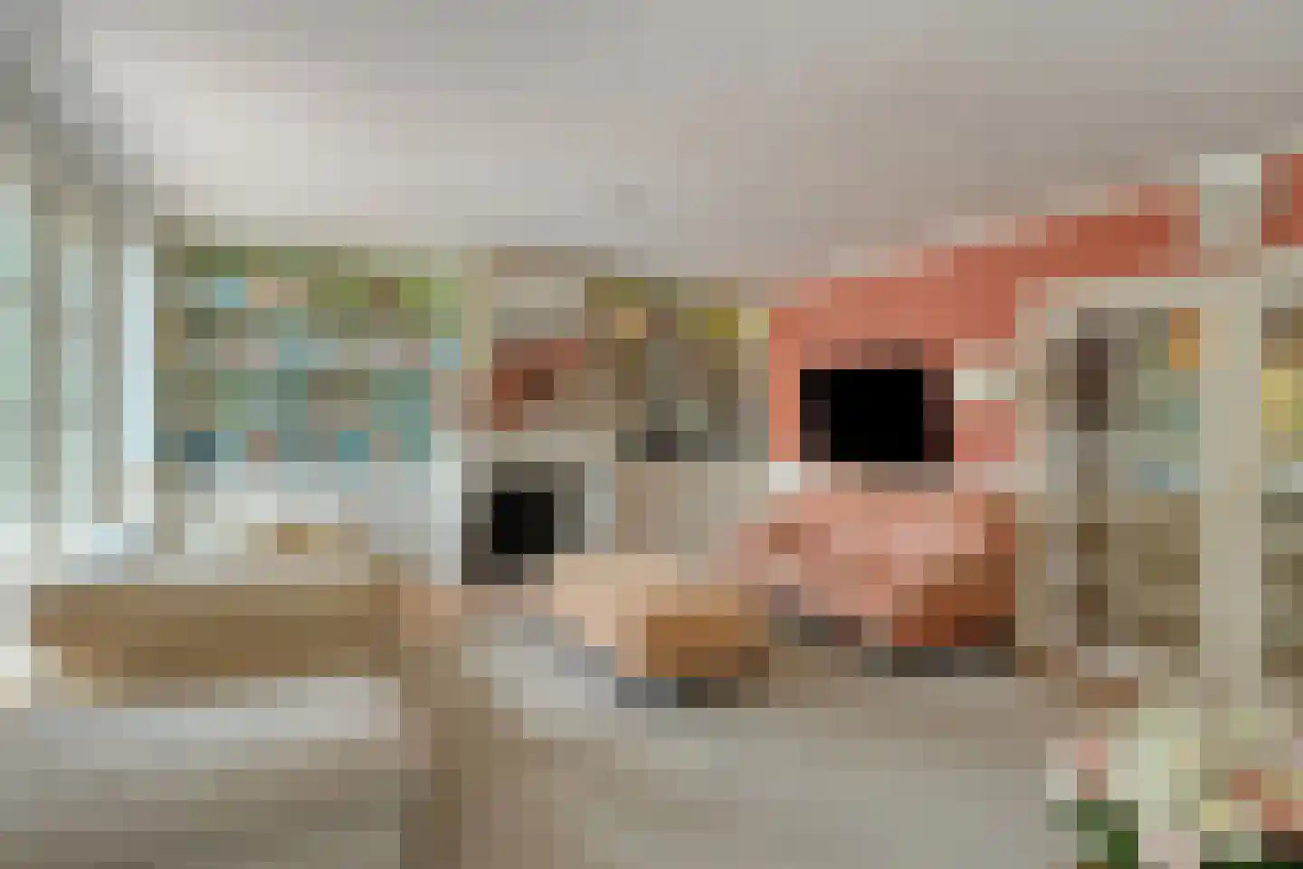 Bredeweg 47 Geffen thumbnail 19