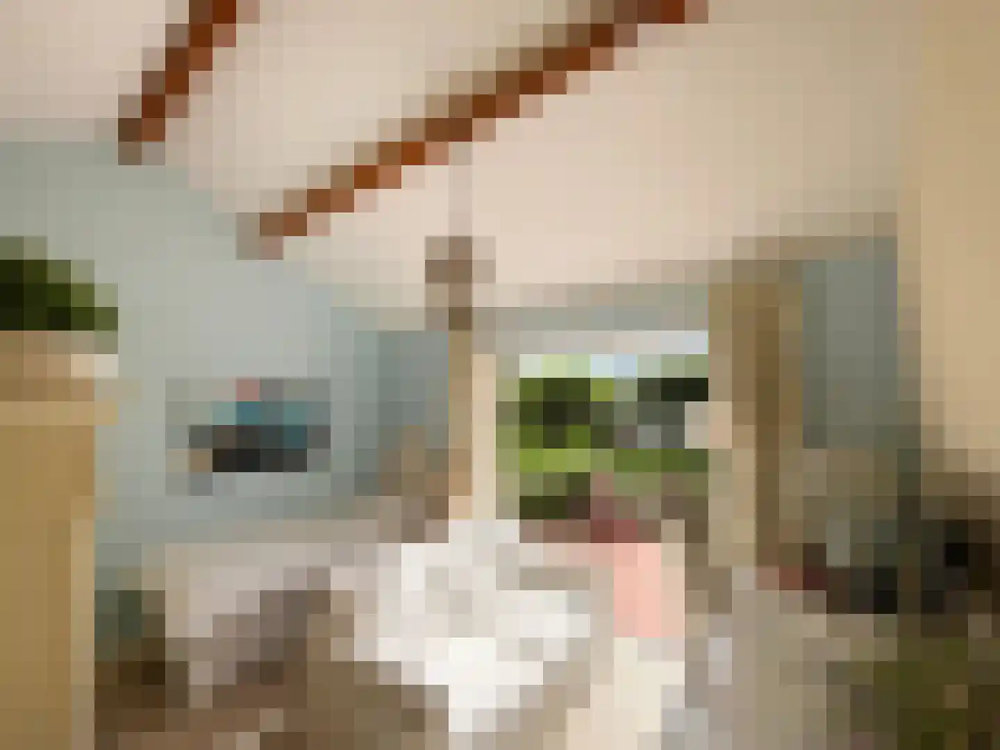 Bredeweg 47 Geffen thumbnail 28