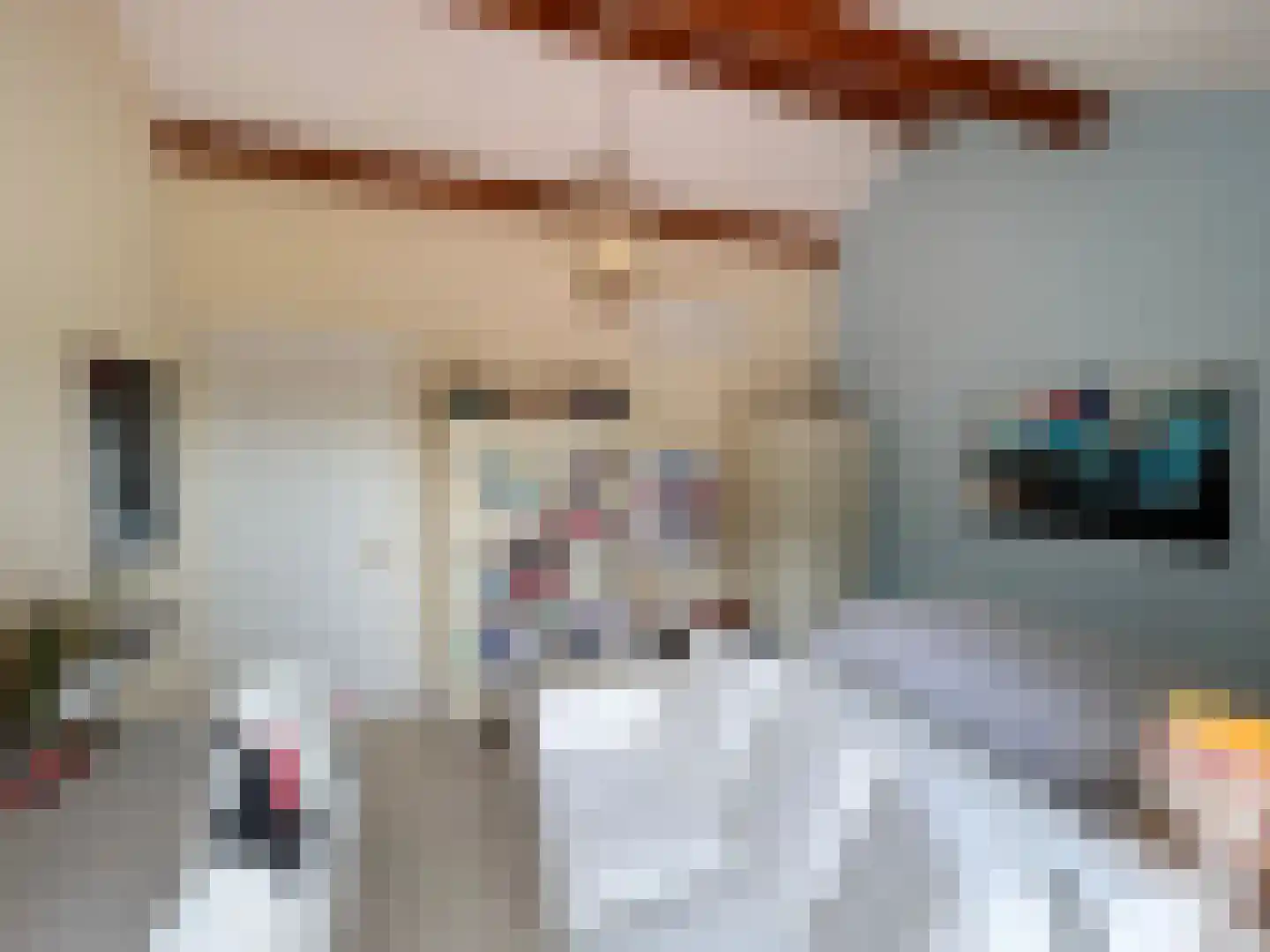 Bredeweg 47 Geffen thumbnail 29