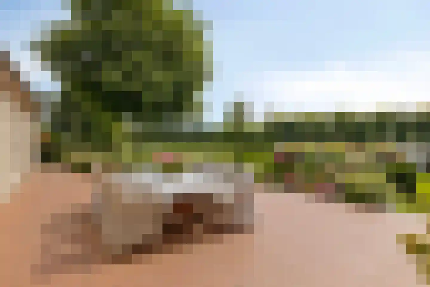 Bredeweg 47 Geffen thumbnail 35