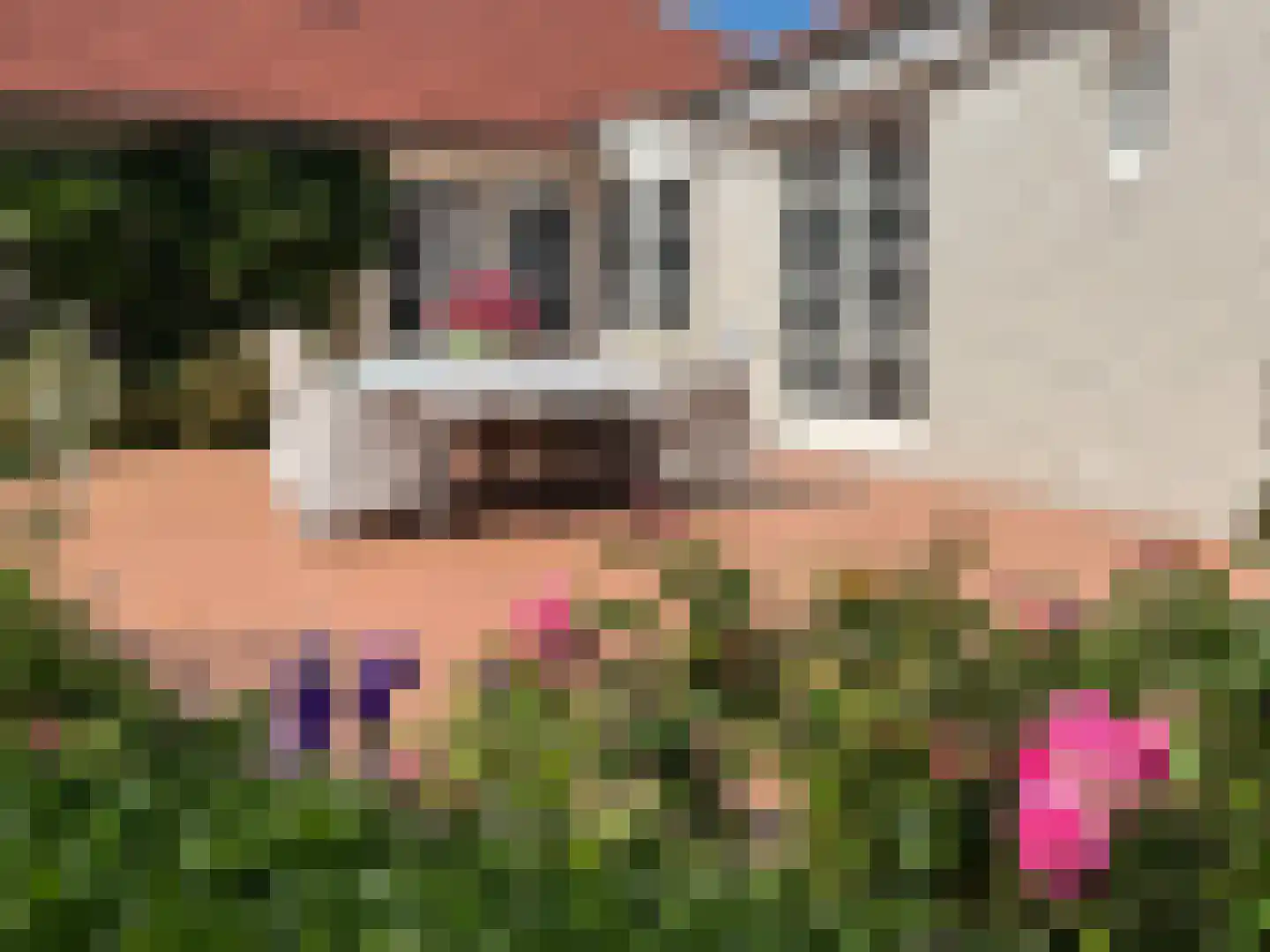 Bredeweg 47 Geffen thumbnail 36
