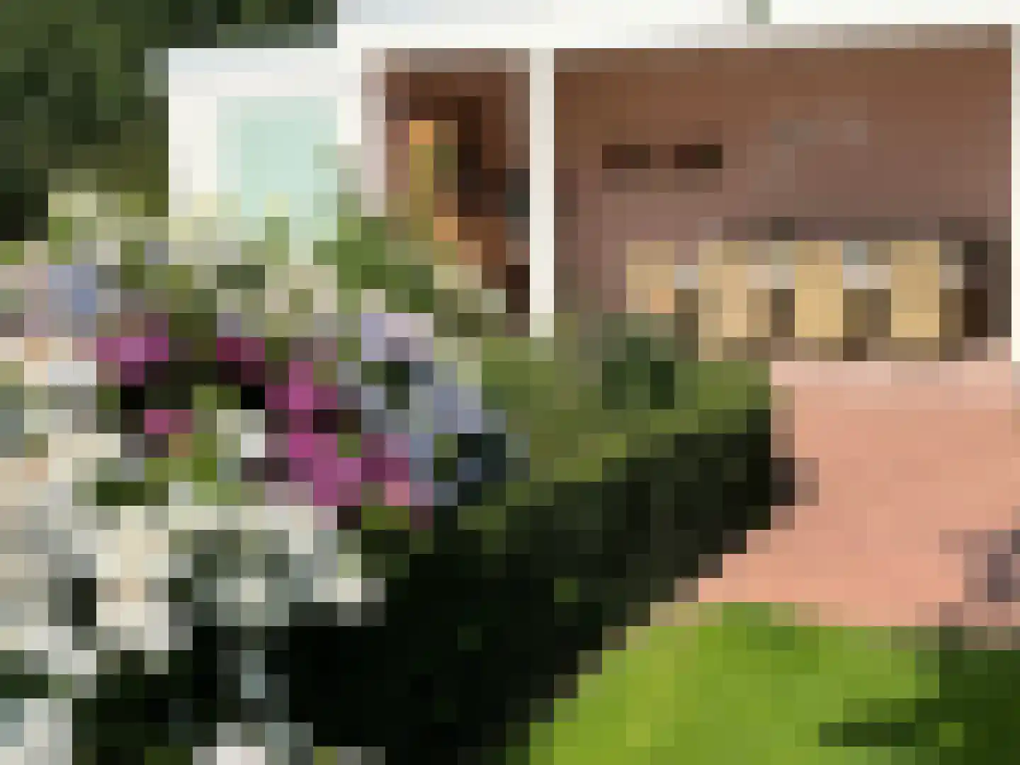Bredeweg 47 Geffen thumbnail 46