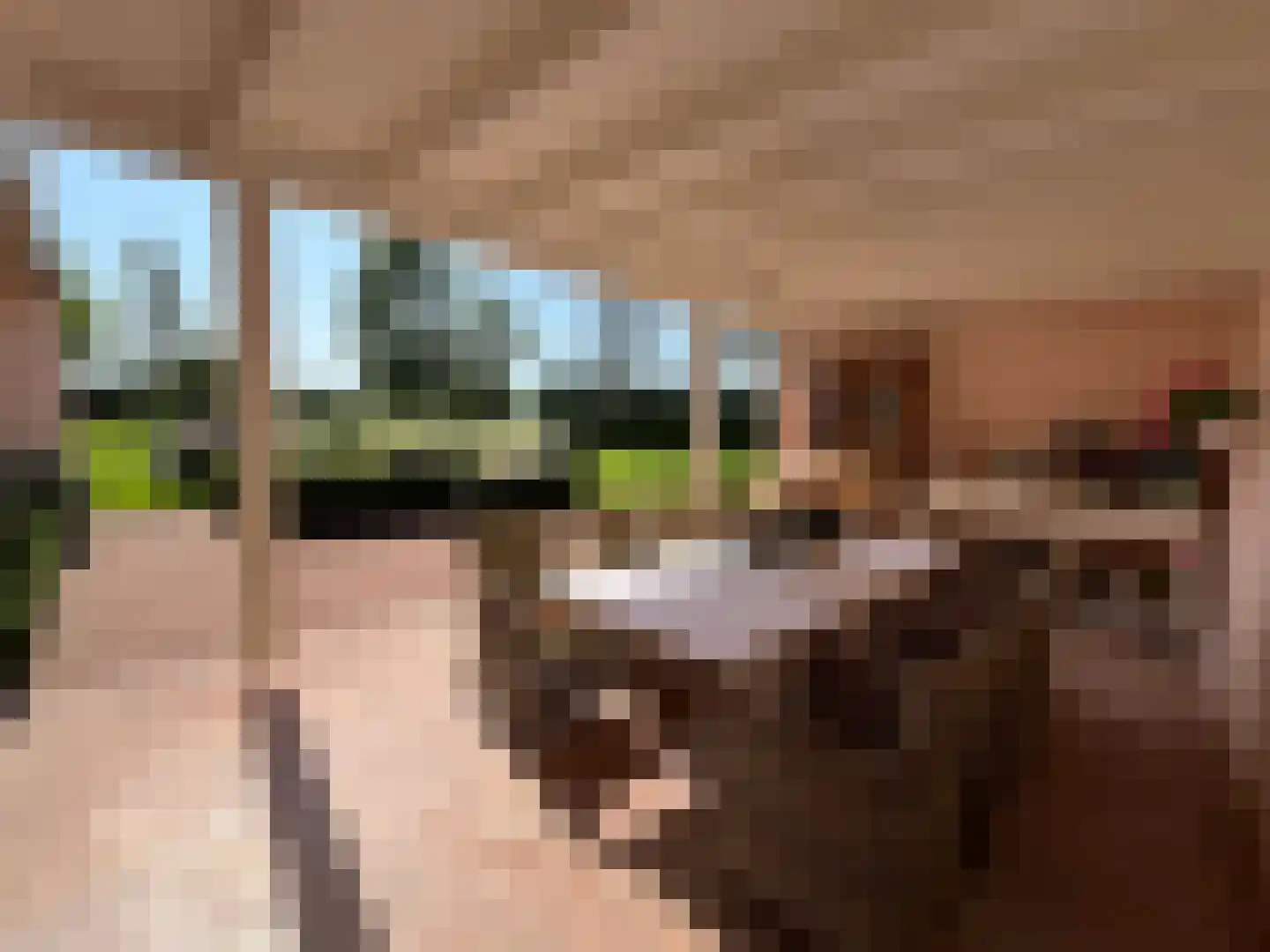 Bredeweg 47 Geffen thumbnail 47