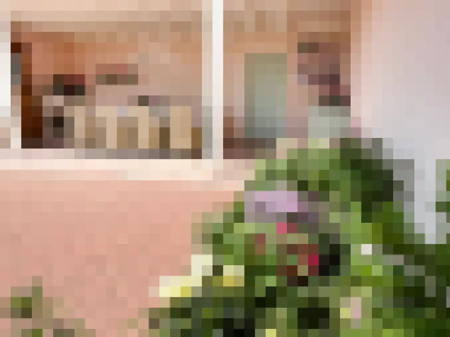 Bredeweg 47 Geffen thumbnail 50