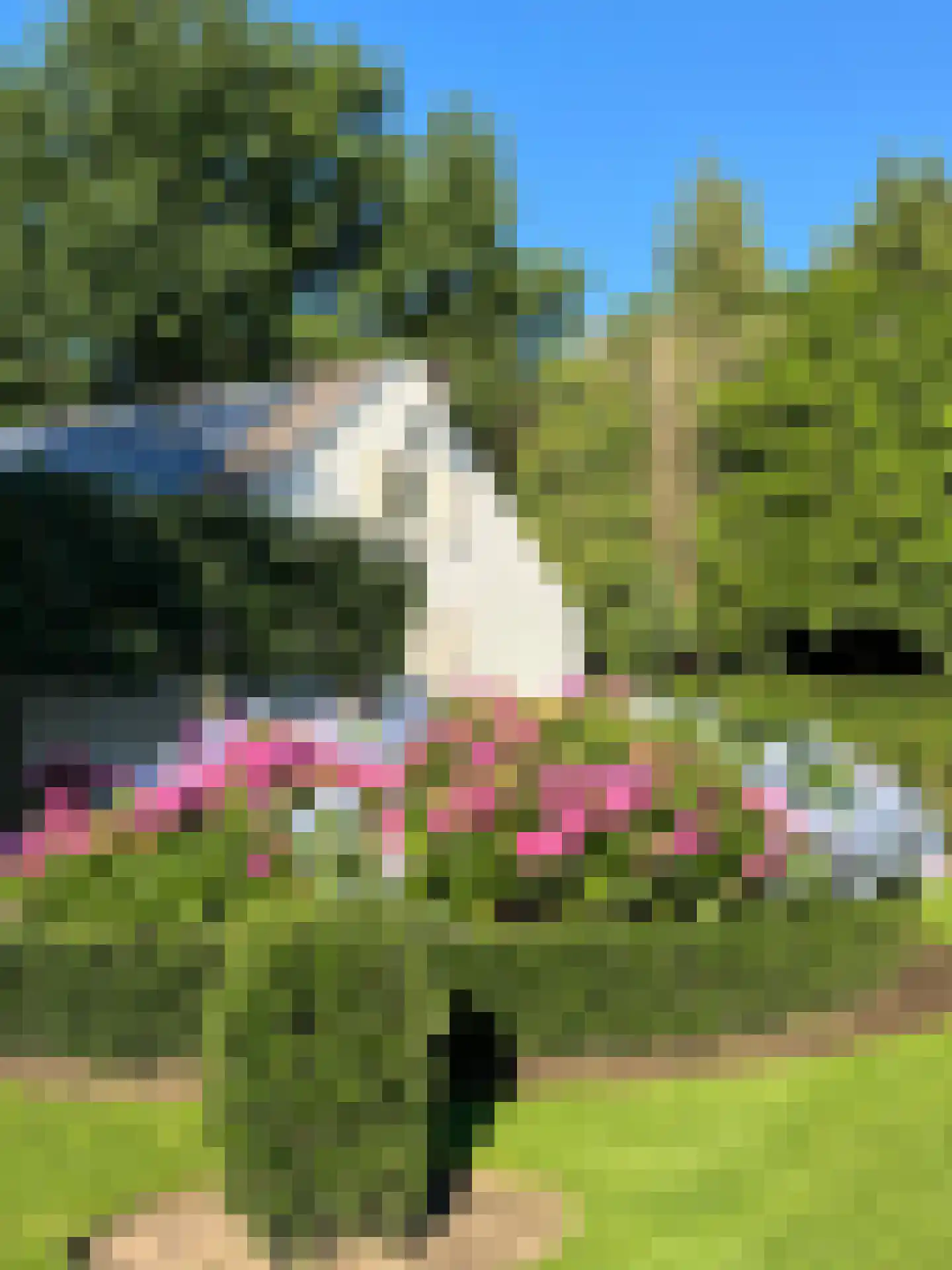 Bredeweg 47 Geffen thumbnail 53