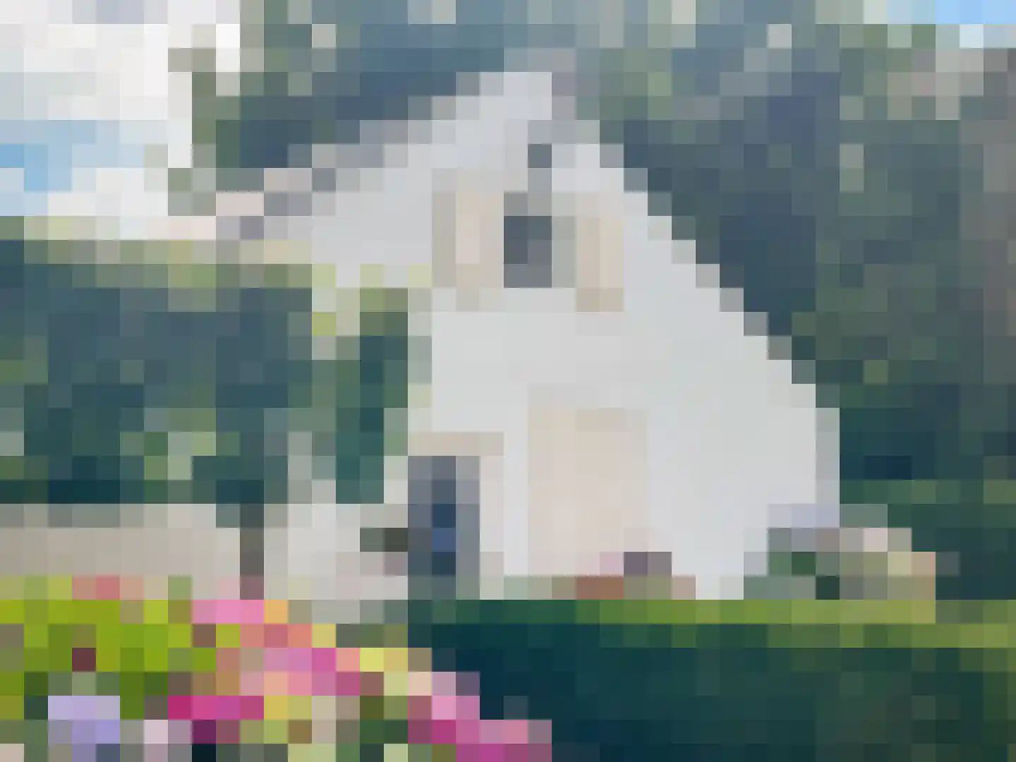 Bredeweg 47 Geffen thumbnail 54