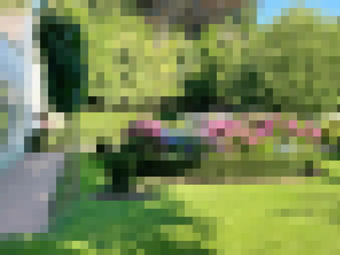 Bredeweg 47 Geffen thumbnail 55