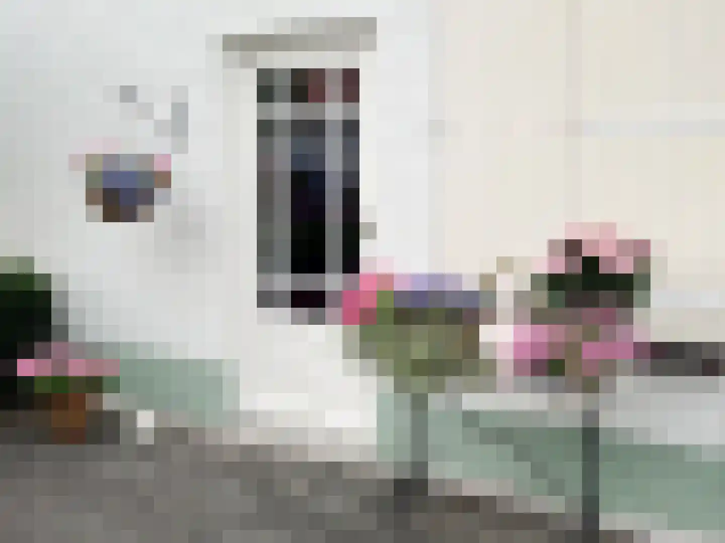 Bredeweg 47 Geffen thumbnail 57