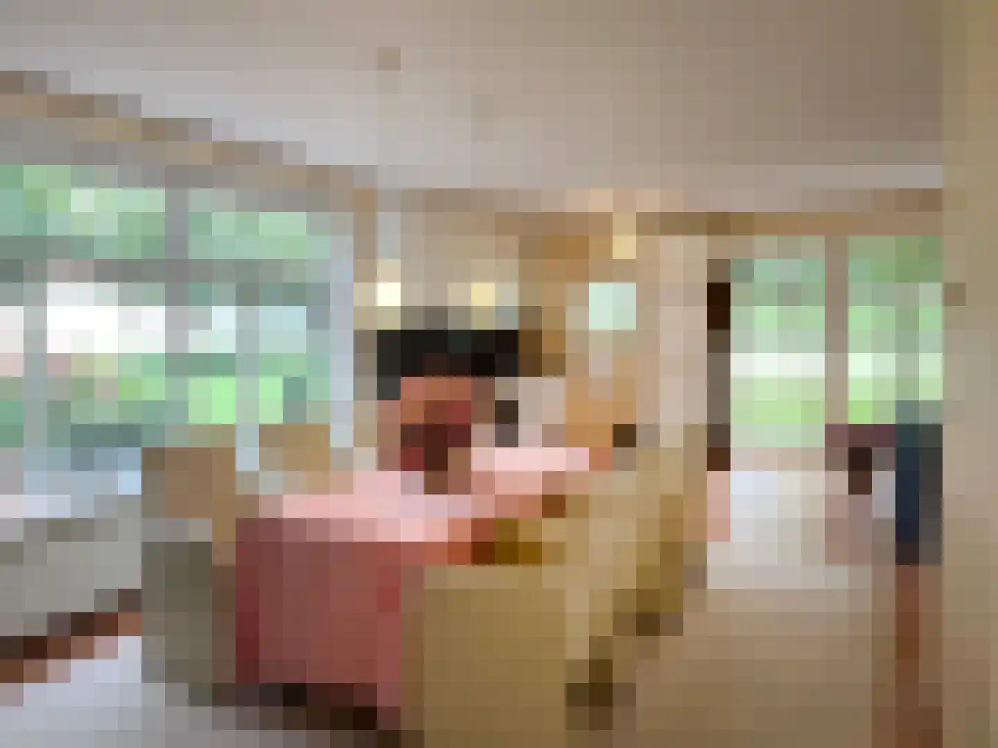 Bredeweg 47 Geffen thumbnail 59