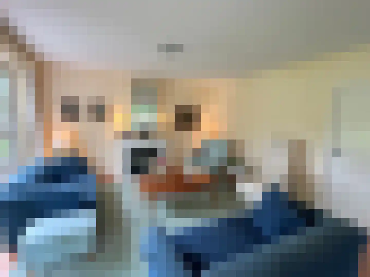 Bredeweg 47 Geffen thumbnail 61