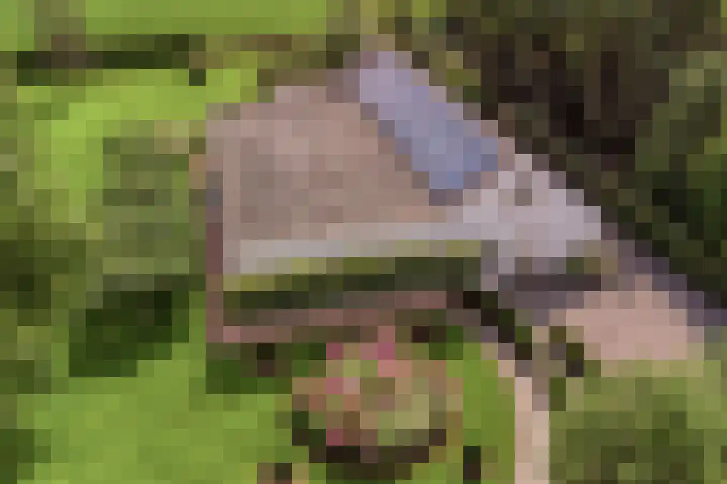 Bredeweg 47 Geffen thumbnail 77