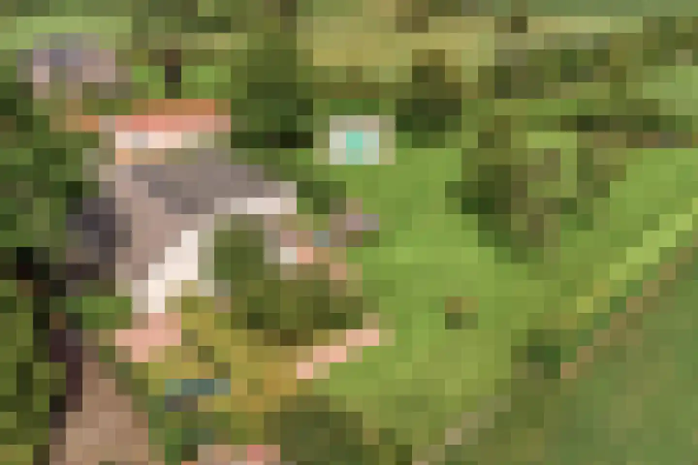 Bredeweg 47 Geffen thumbnail 78