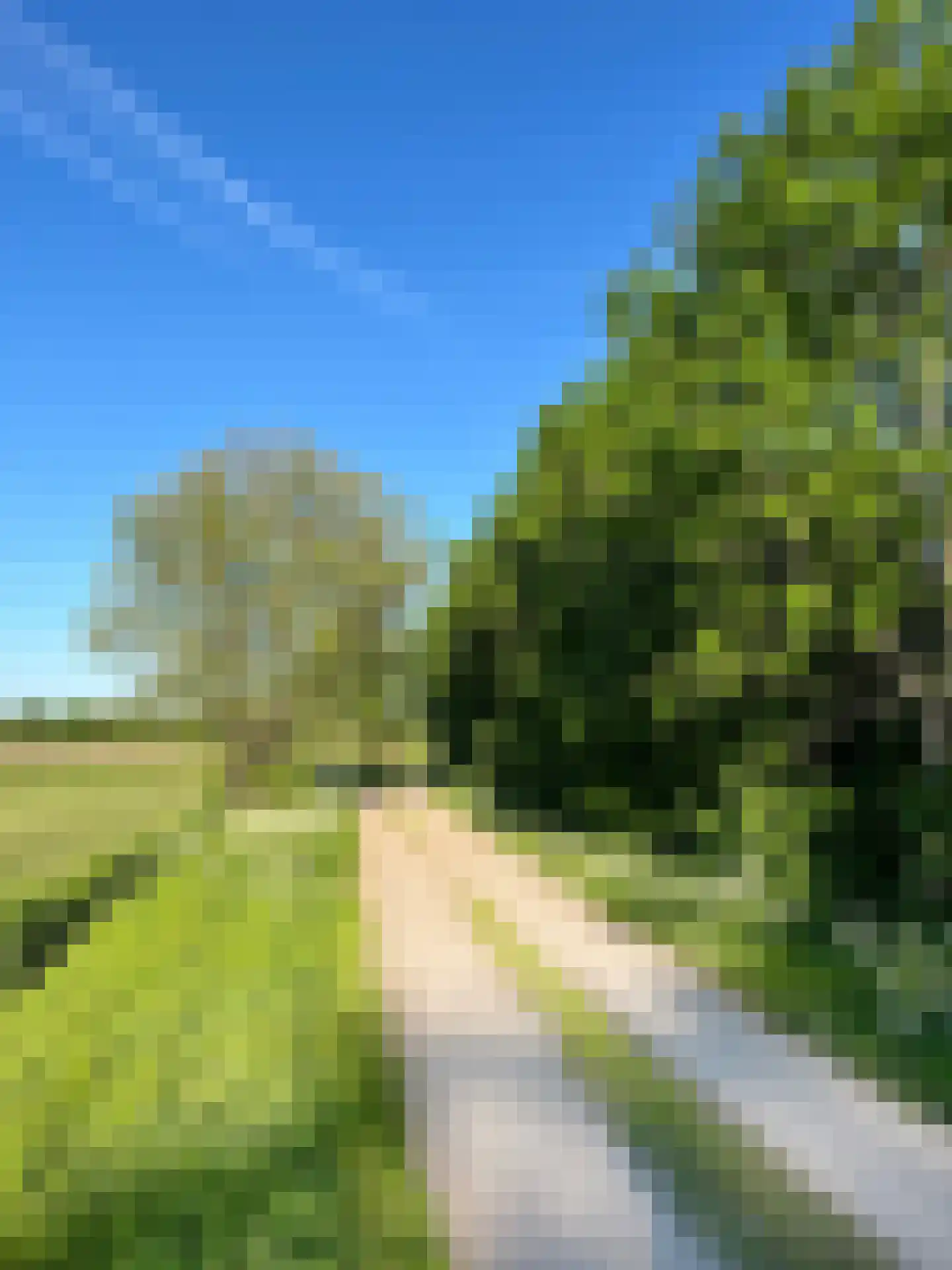 Bredeweg 47 Geffen thumbnail 79