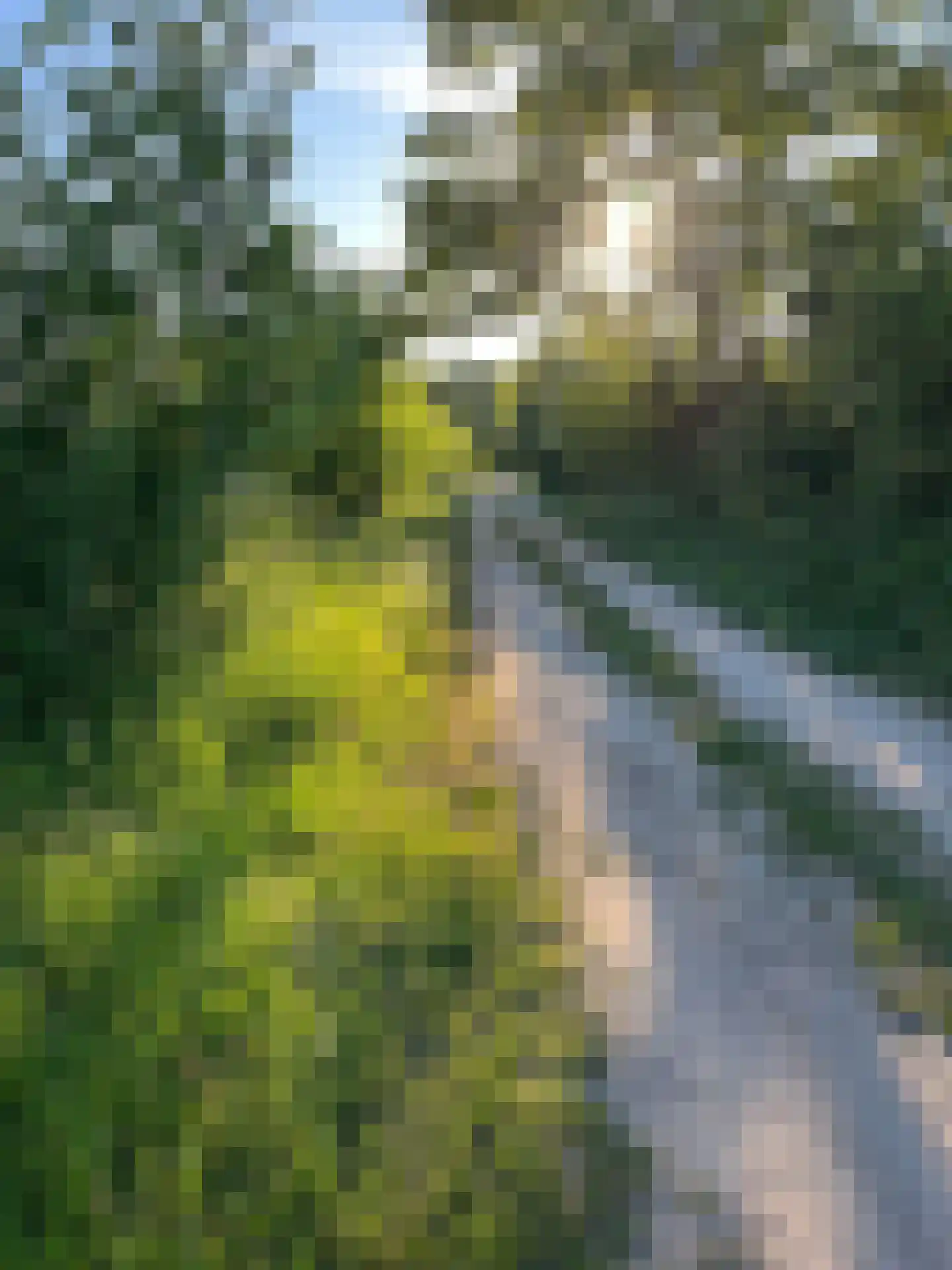 Bredeweg 47 Geffen thumbnail 80