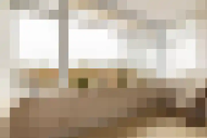 Bredeweg 49 Hulshorst thumbnail 14