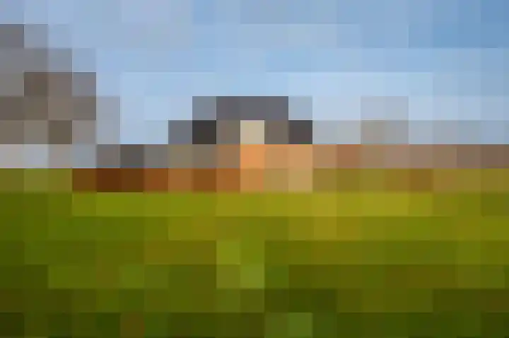 Bredeweg 49 Hulshorst thumbnail 45
