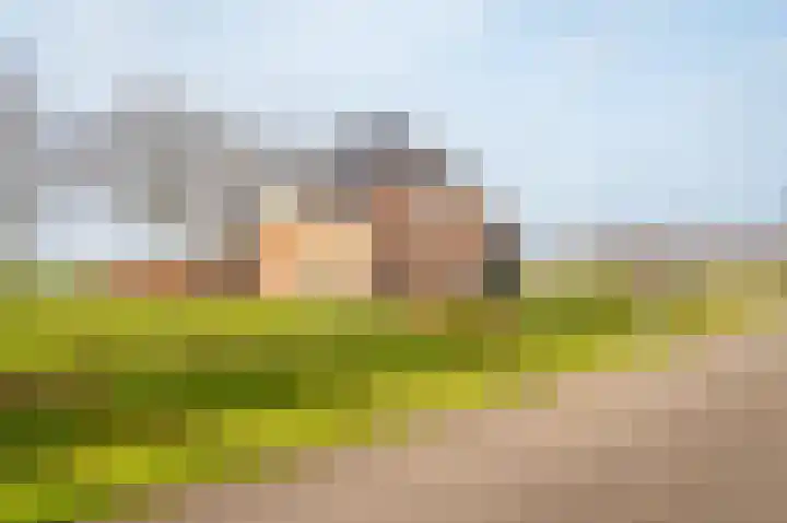 Bredeweg 49 Hulshorst thumbnail 49