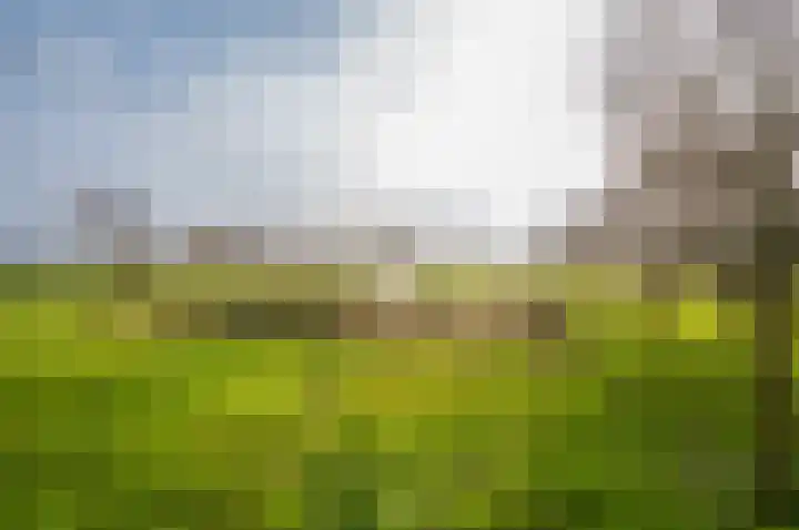 Bredeweg 49 Hulshorst thumbnail 53