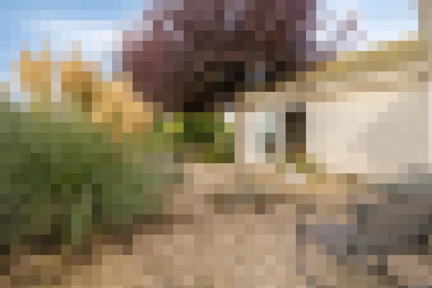 Bredeweg 66 b 75 Moerkapelle thumbnail 6