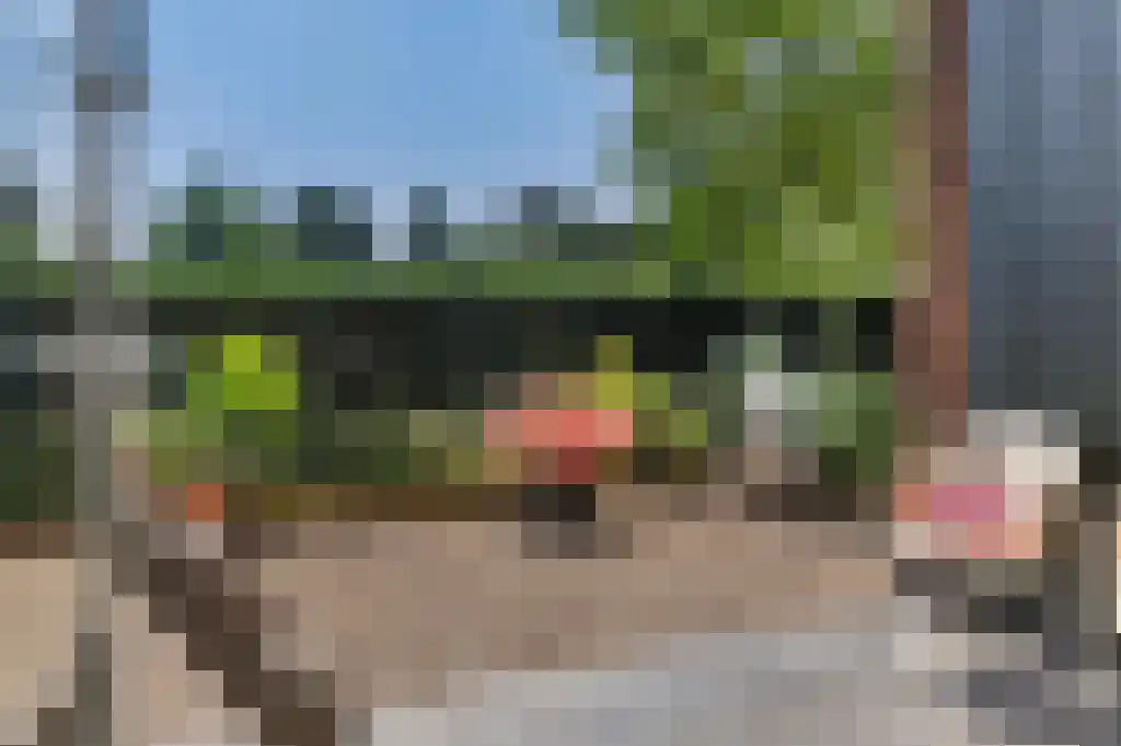 Bredeweg 69 a Randwijk thumbnail 35