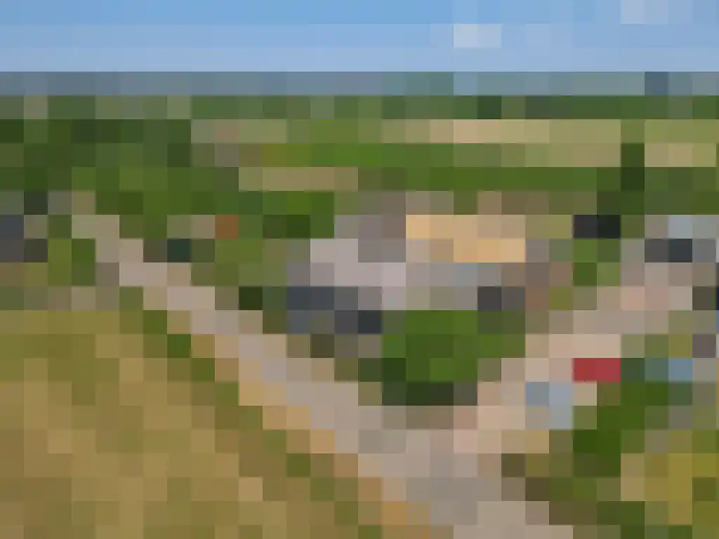 Bredeweg 69 a Randwijk thumbnail 47