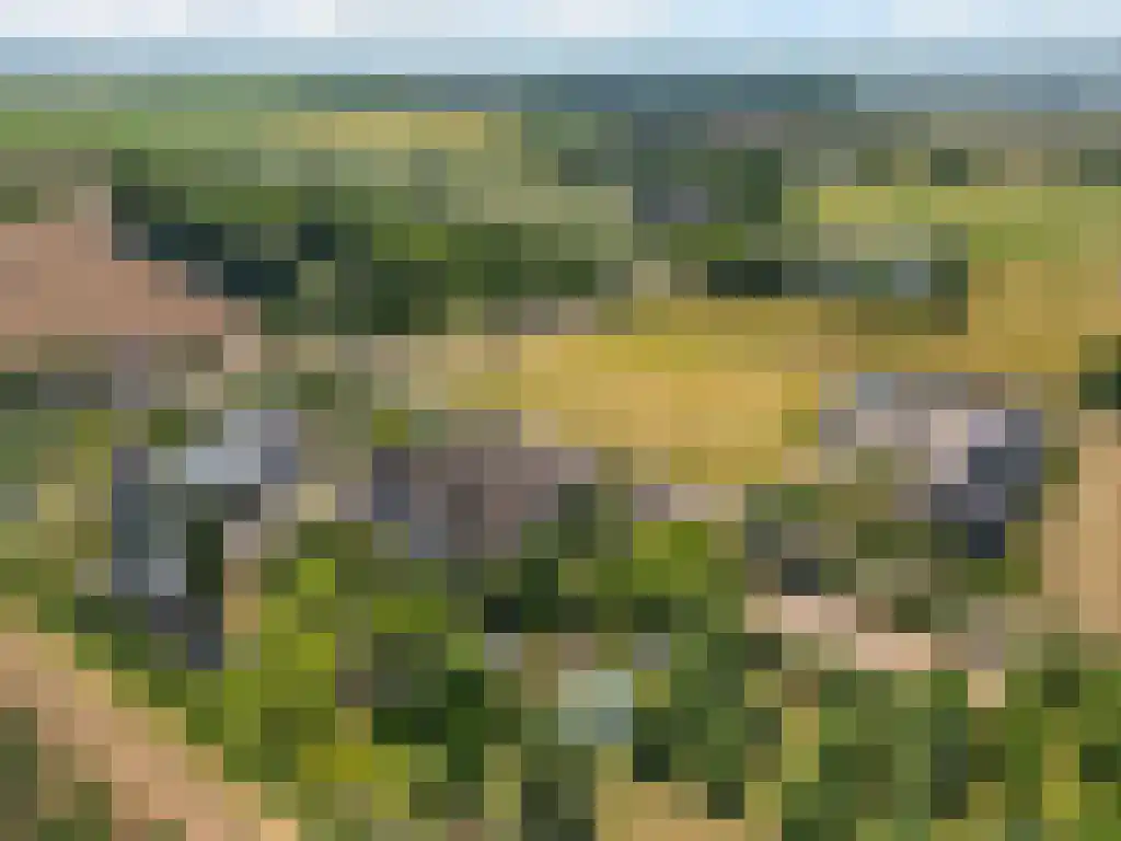 Bredeweg 69 a Randwijk thumbnail 49