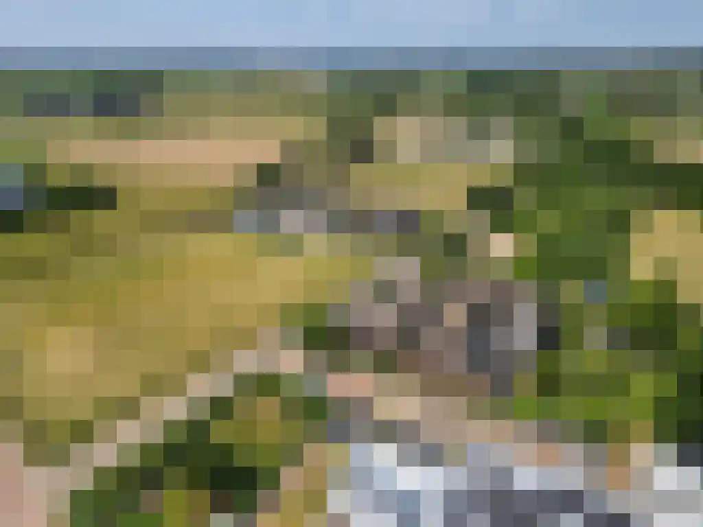 Bredeweg 69 a Randwijk thumbnail 50