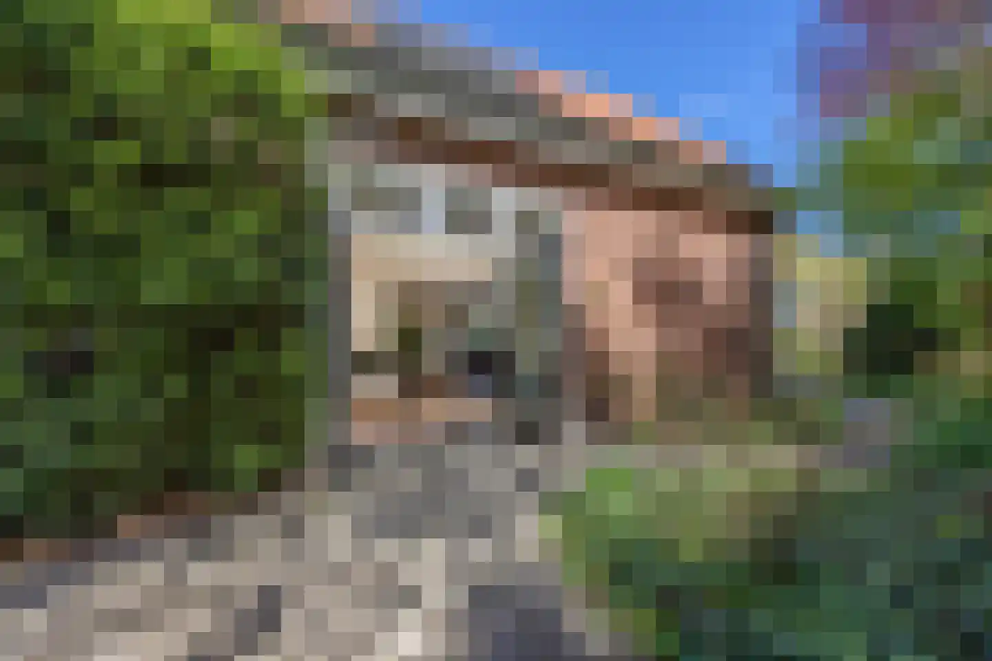 Bredeweg 88 a Groesbeek thumbnail 31