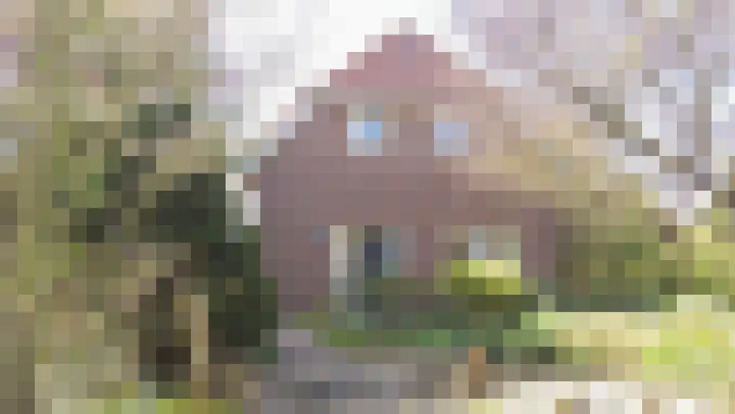 Bredeweg 88 a Groesbeek thumbnail 4