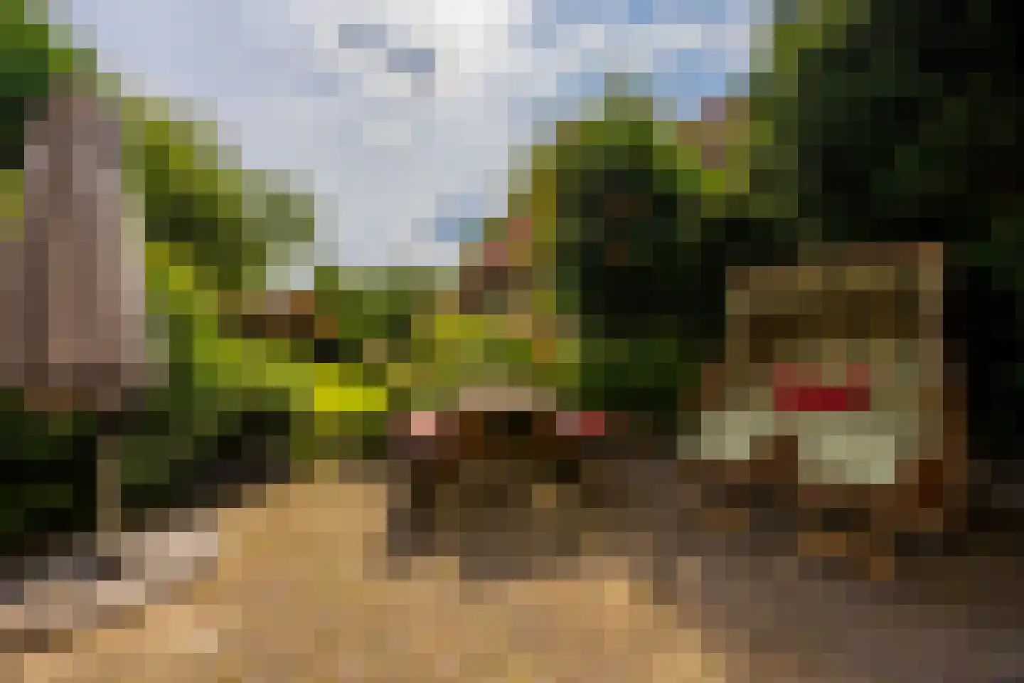 Bredeweg 88 a Groesbeek thumbnail 75