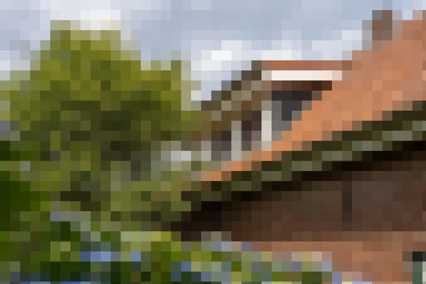 Bredeweg 88 a Groesbeek thumbnail 82