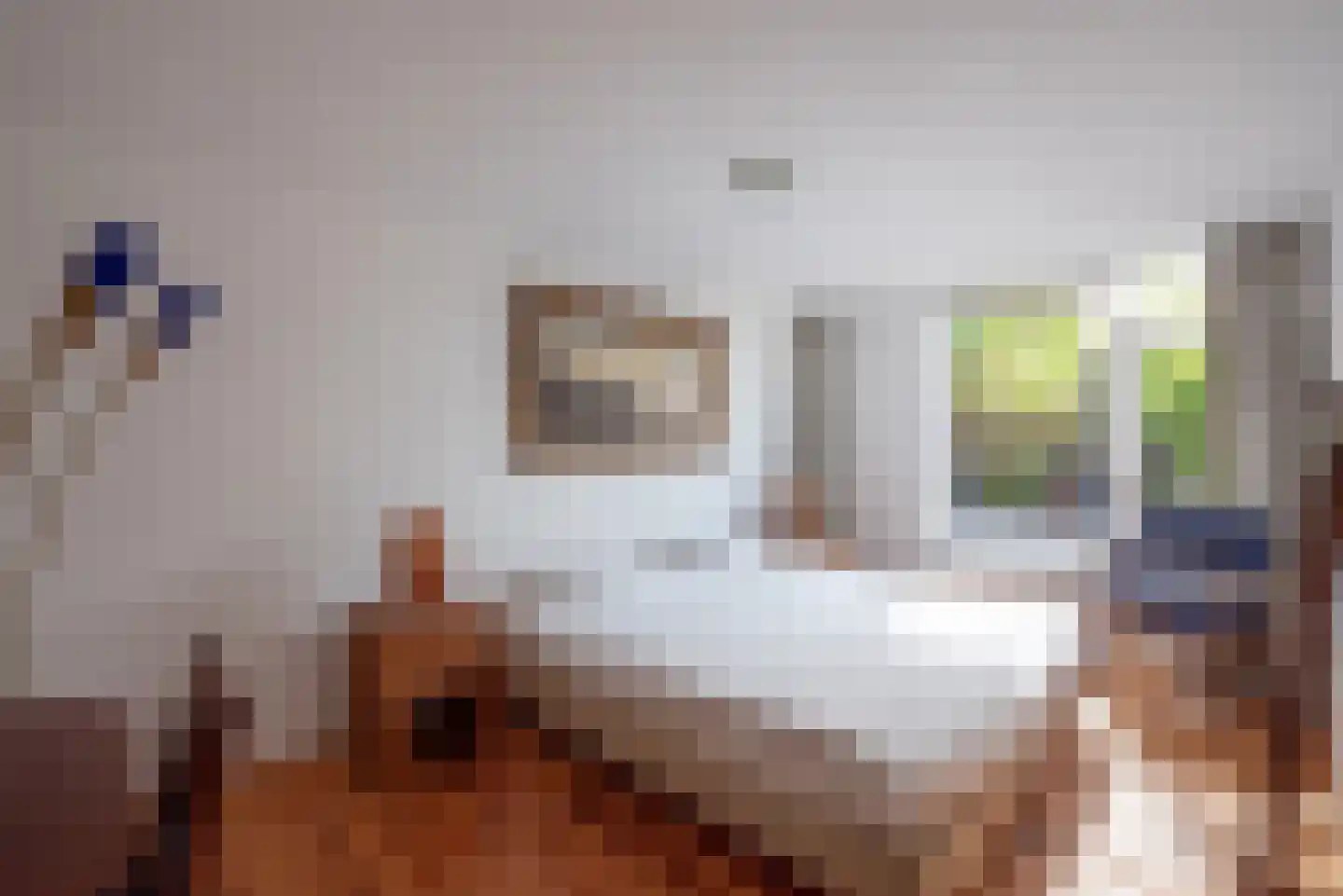 Bredholm 11 Hoofddorp thumbnail 30