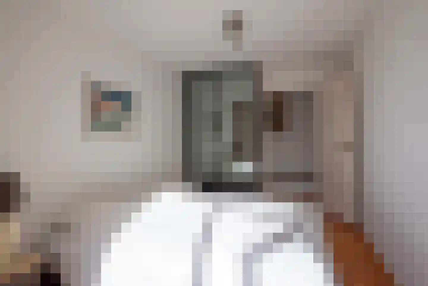 Bredholm 11 Hoofddorp thumbnail 35
