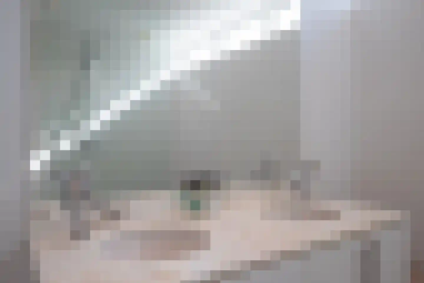 Bredholm 11 Hoofddorp thumbnail 38