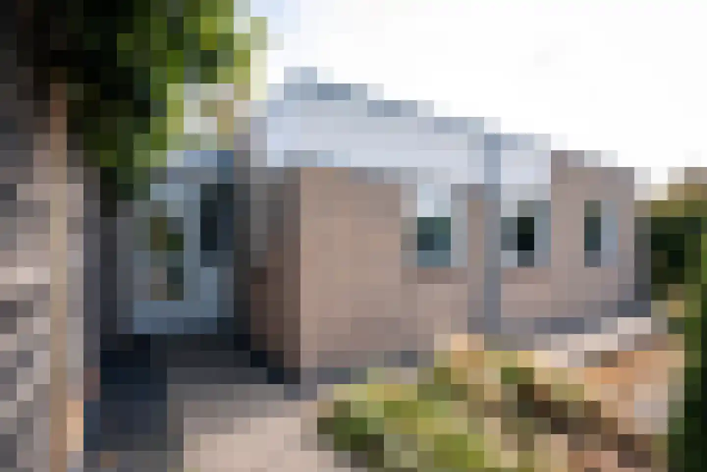 Bredholm 11 Hoofddorp thumbnail 4