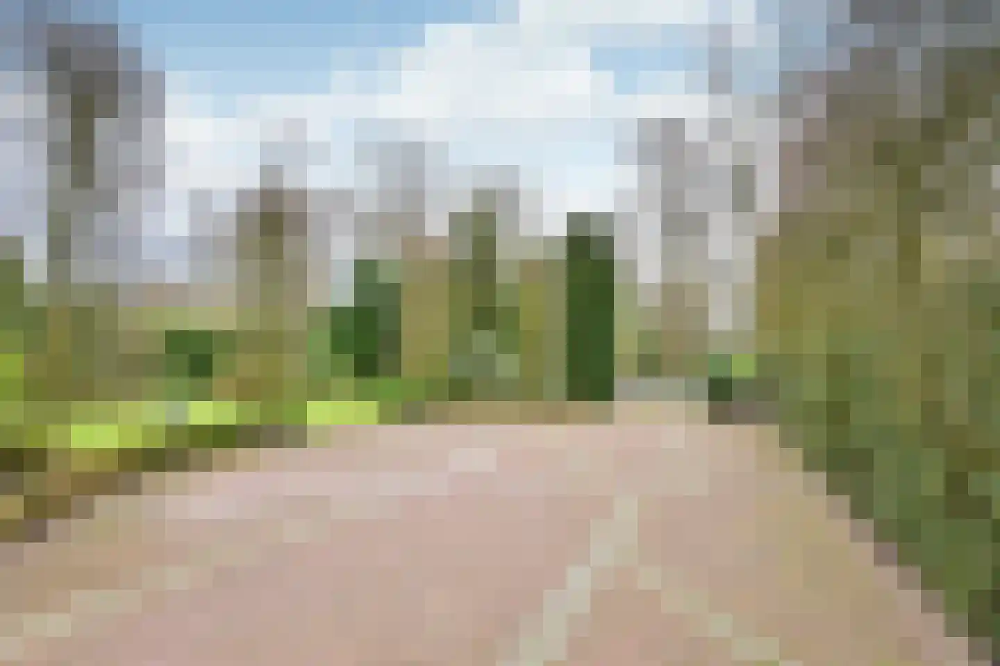 Brediusweg 75 Bussum thumbnail 45