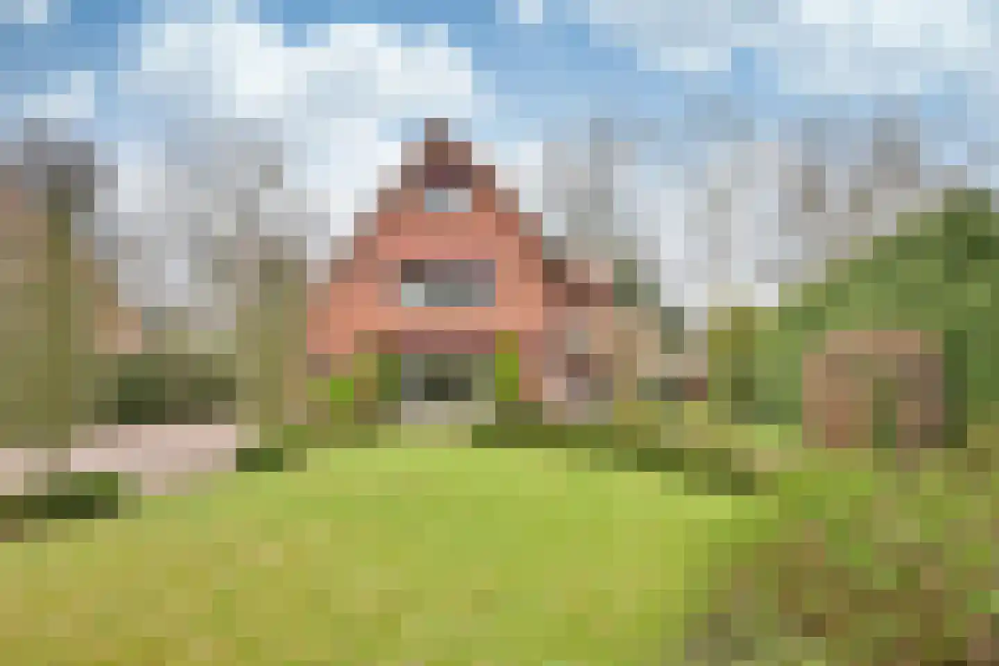 Brediusweg 75 Bussum thumbnail 46