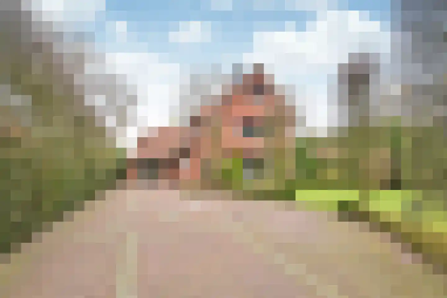 Brediusweg 75 Bussum thumbnail 47