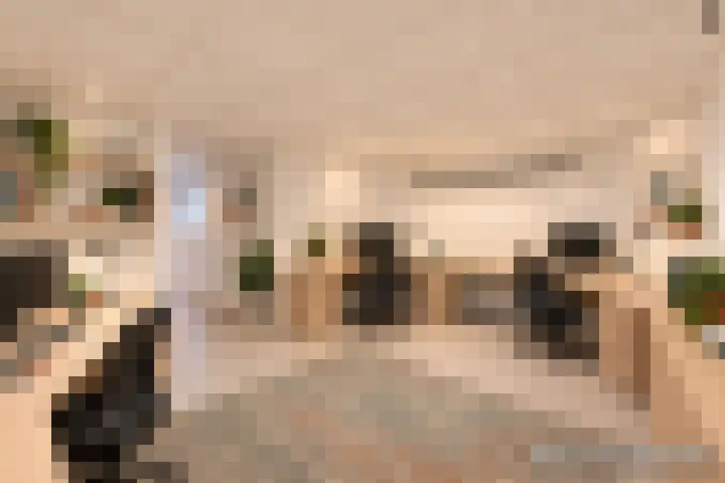 Brediusweg 86 Naarden thumbnail 31